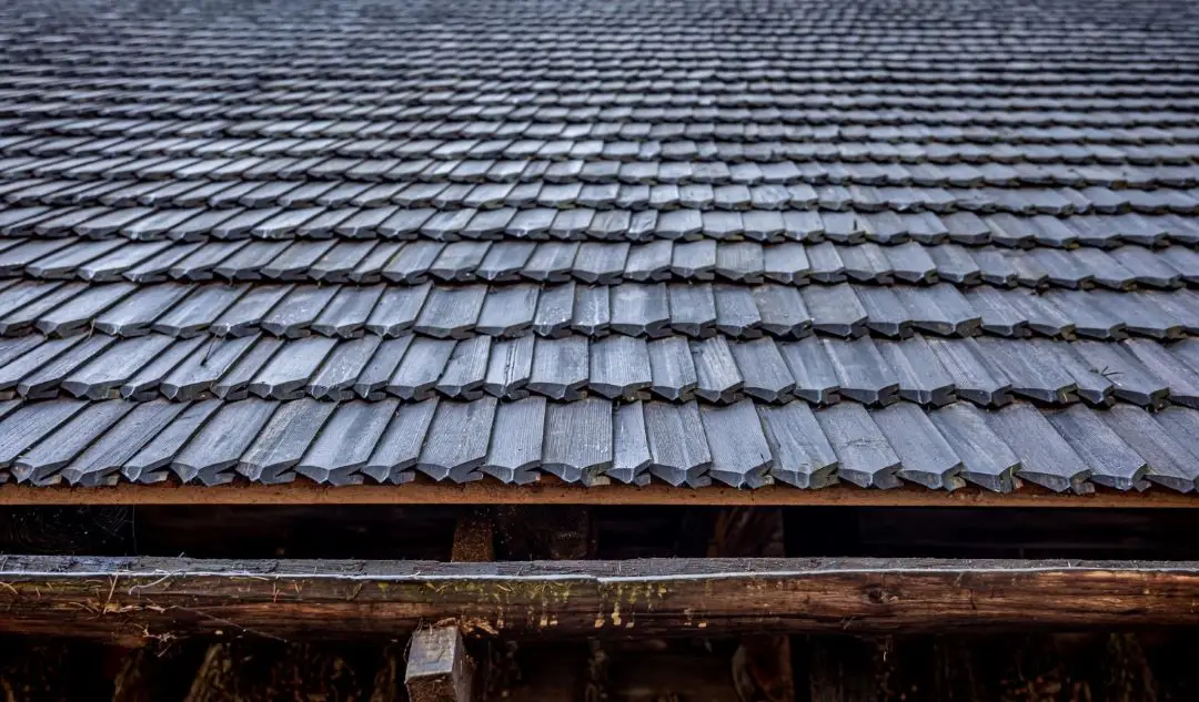 Shingle Roofing